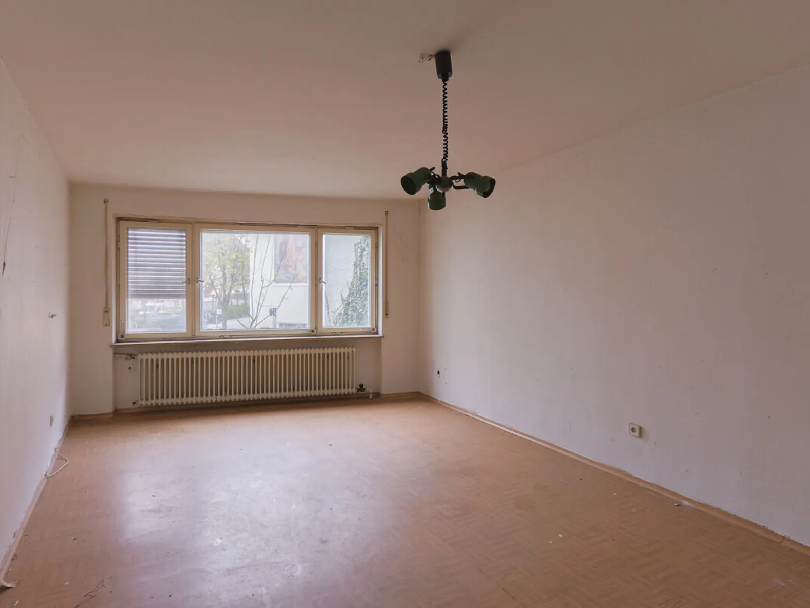 Der "Grüne Baum" - Historisches Ensemble in der Altstadt - Bild 6